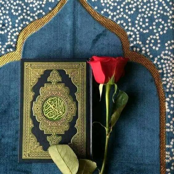 الأستاذة أم جواد